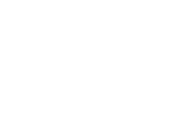 Digistar